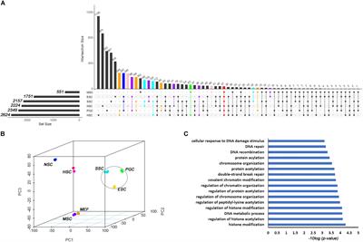 Integrated Analyses of Mouse Stem Cell Transcriptomes Provide Clues for Stem Cell Maintenance and Transdifferentiation